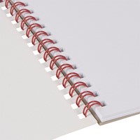 Schetsboek Papyrus ballon A4 120gr 20 vel-3